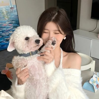 猫小姐寻真爱